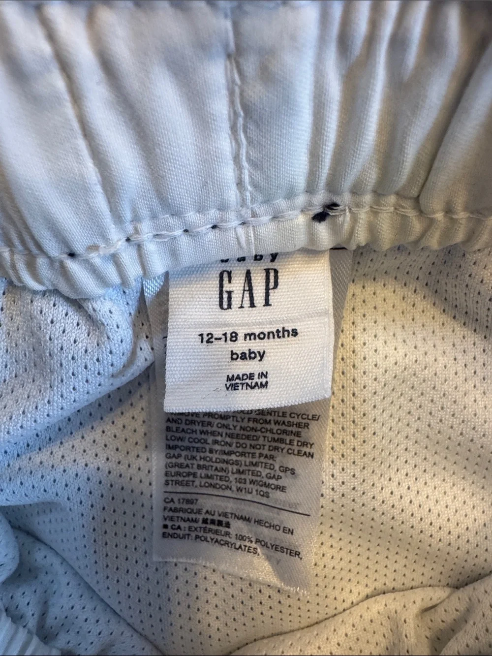 GAP Blue Dinosaur Party Toddler Swim Shorts
